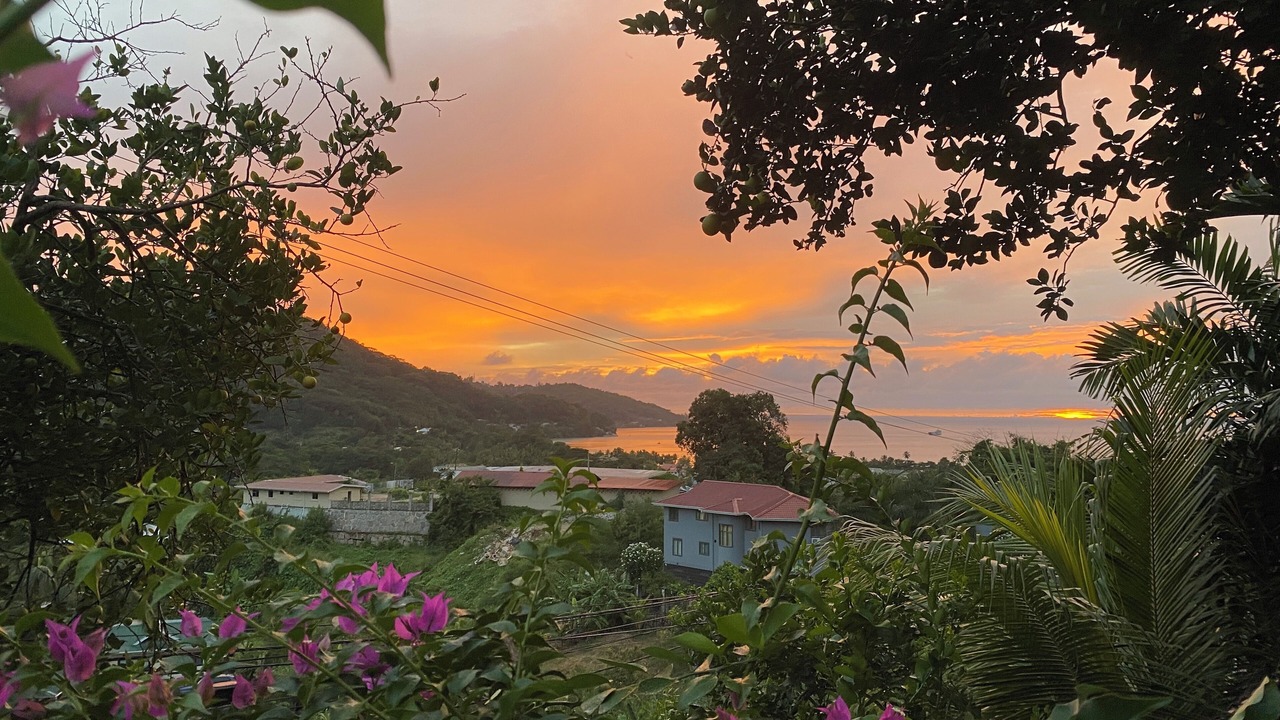 Photo of Outdoor in Anse La Mouche