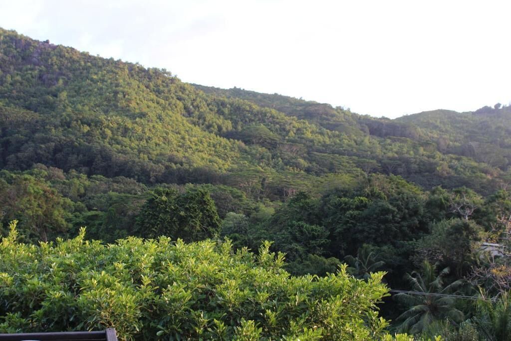 Photo of Outdoor in Anse La Mouche