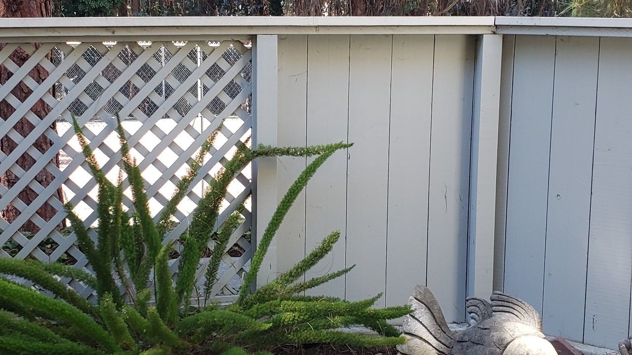 Photo of Outdoor in Aptos