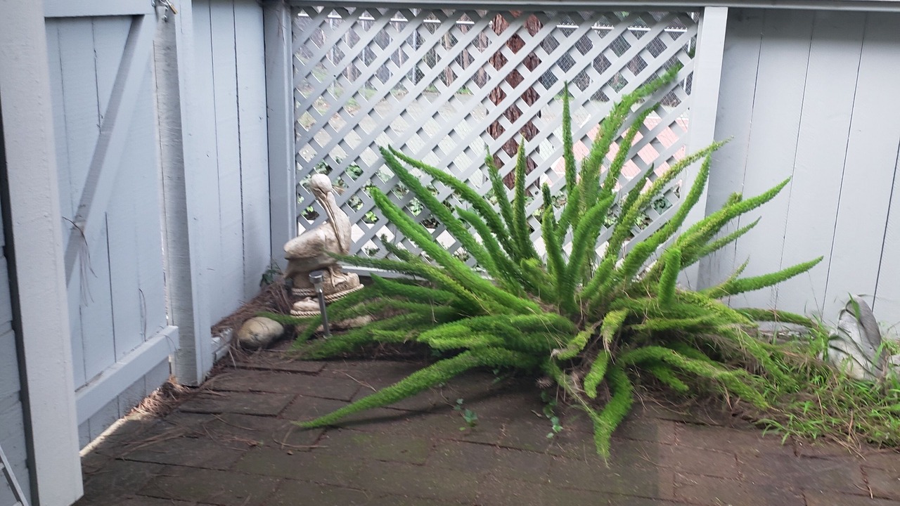 Photo of Outdoor in Aptos