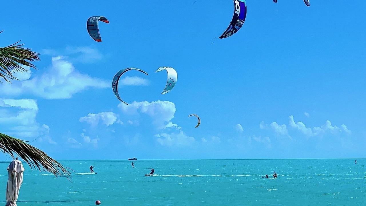 Photo of Others in Long Bay