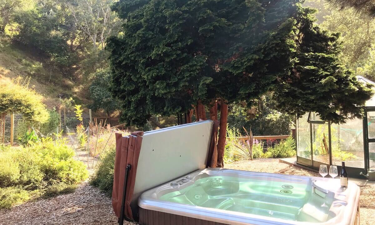 Photo of Outdoor in Westside Santa Cruz