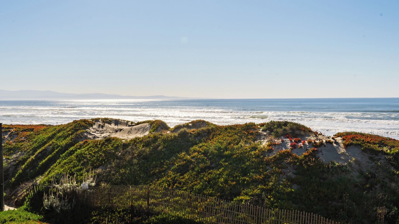 Photo of Others in Pajaro Dunes