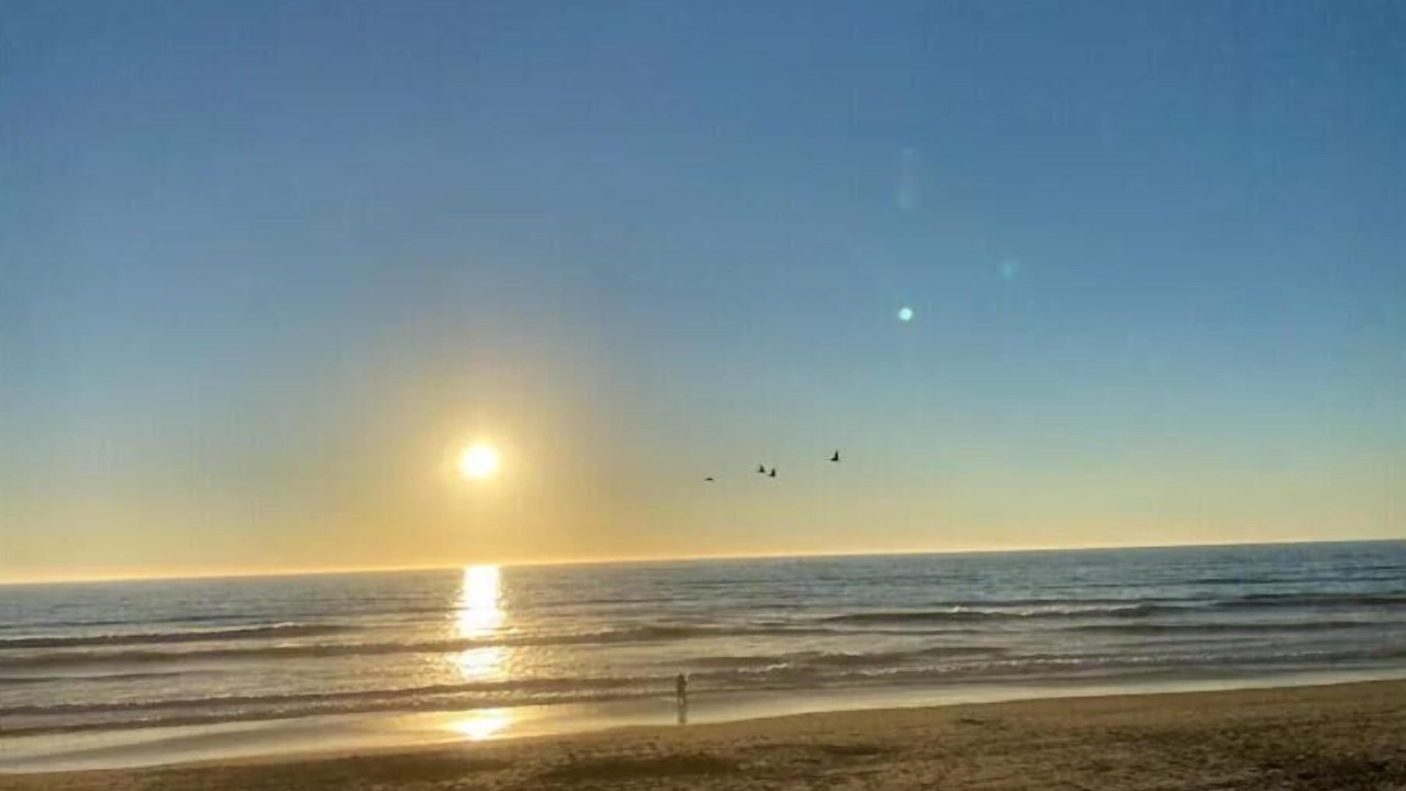 Photo of Others in Pajaro Dunes