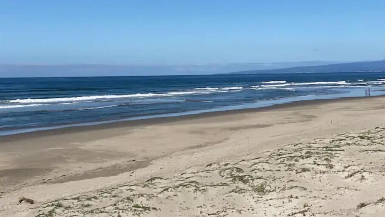 Photo of Others in Pajaro Dunes