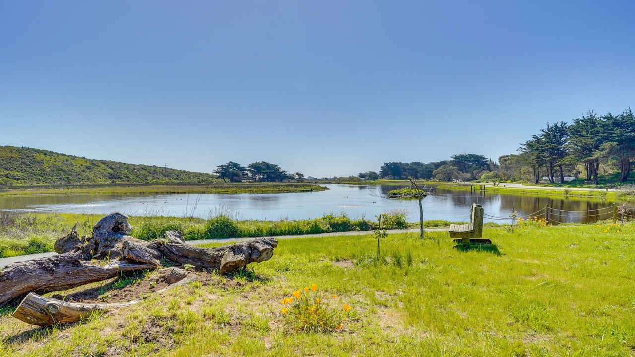 Photo of Others in Pajaro Dunes