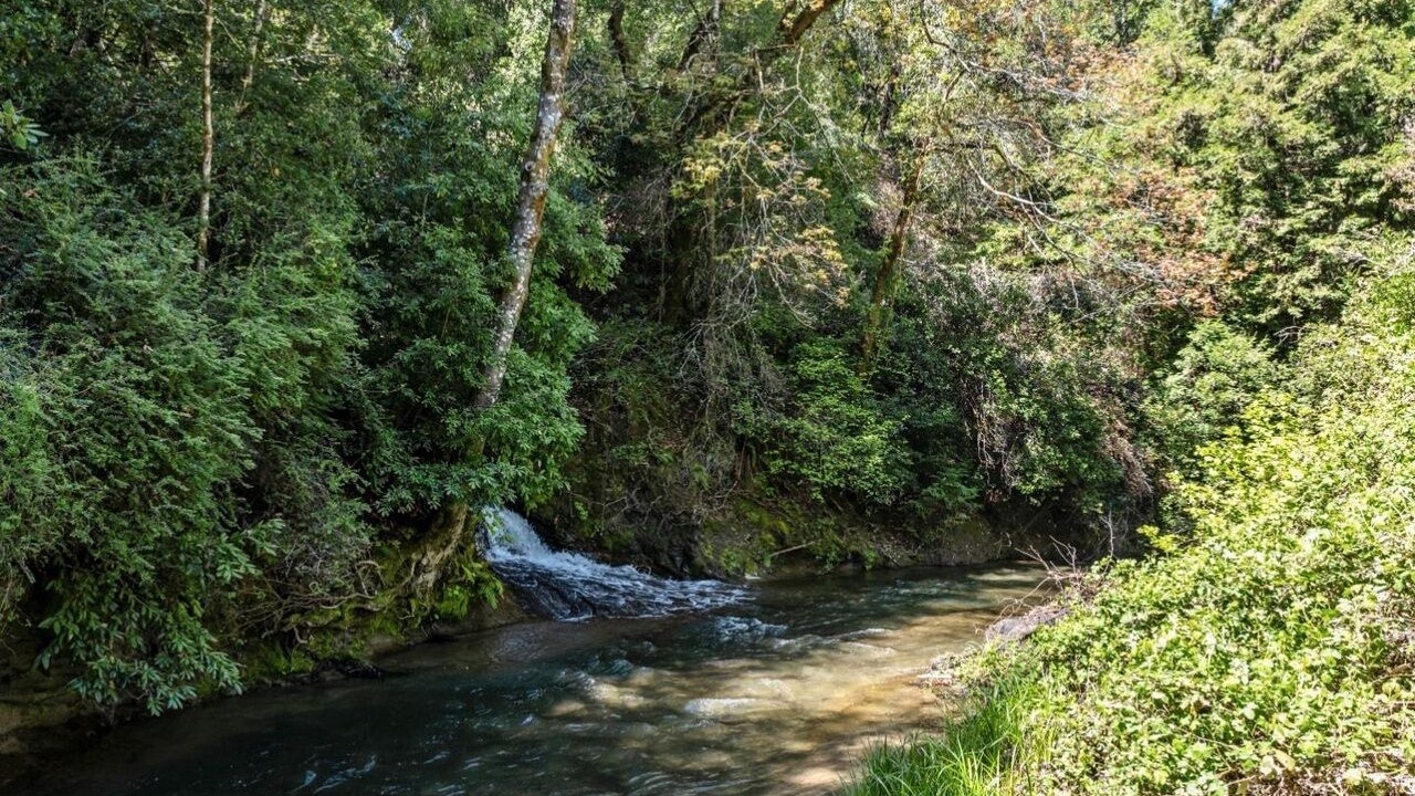 Photo of Others in Boulder Creek