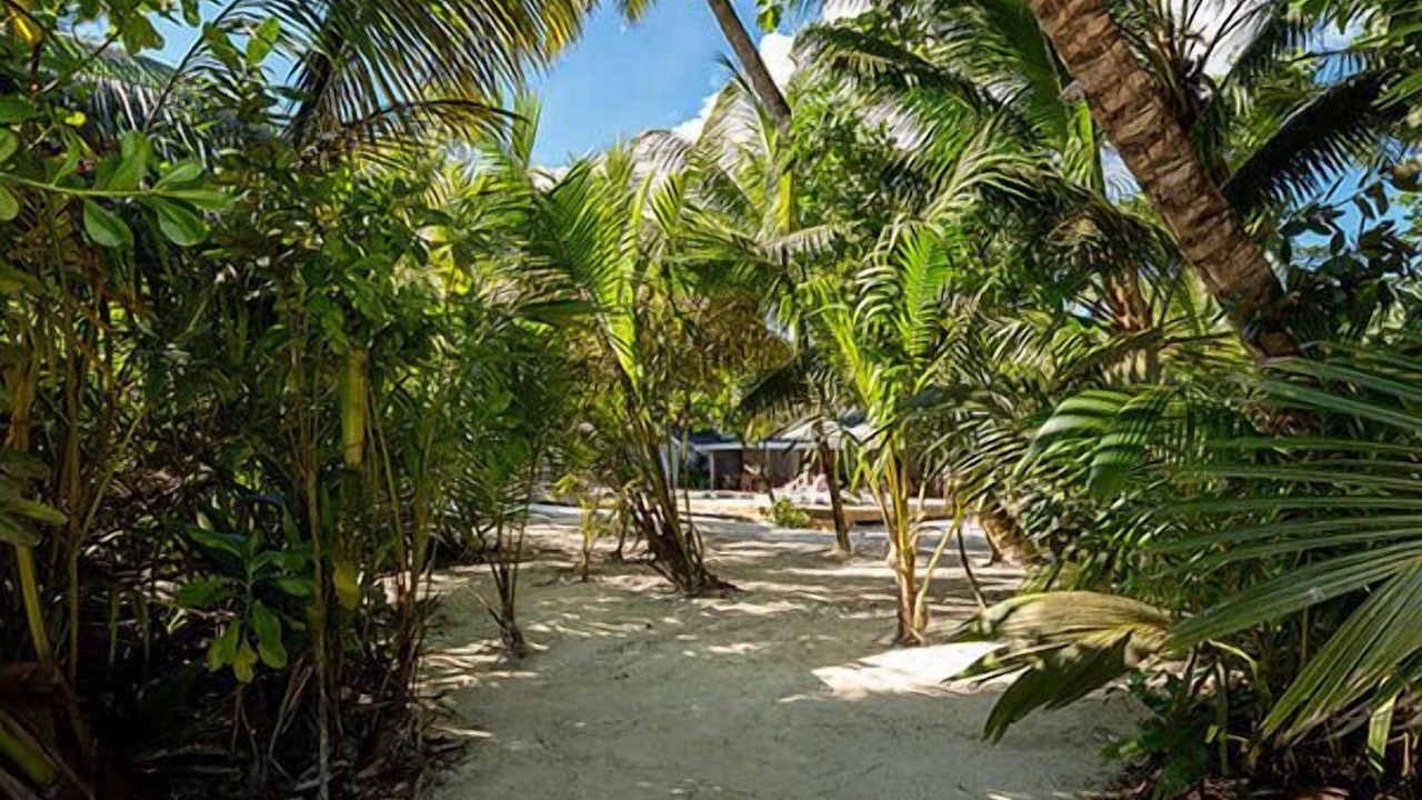 Photo of Outdoor in Praslin Island