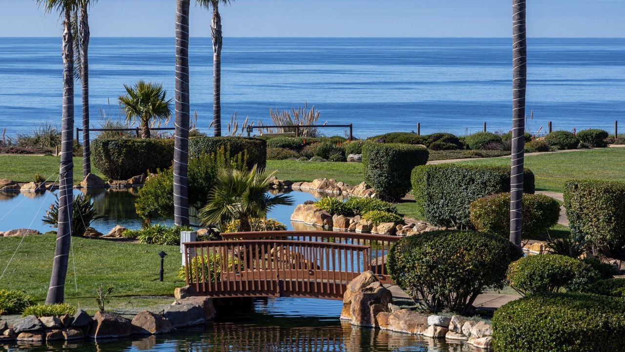 Photo of Others in Rio del Mar
