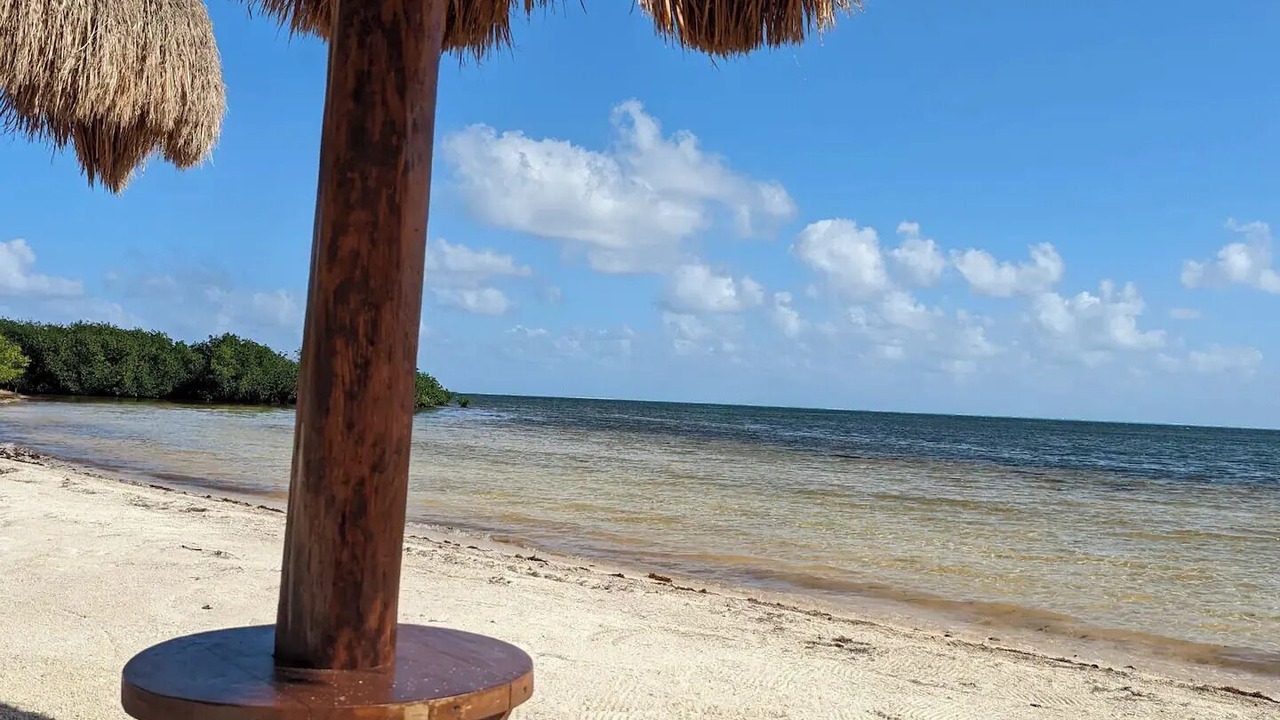 Photo of Others in La Isla