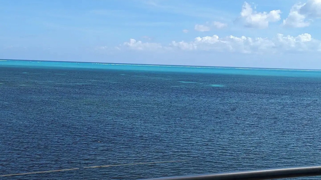 Photo of Others in La Isla