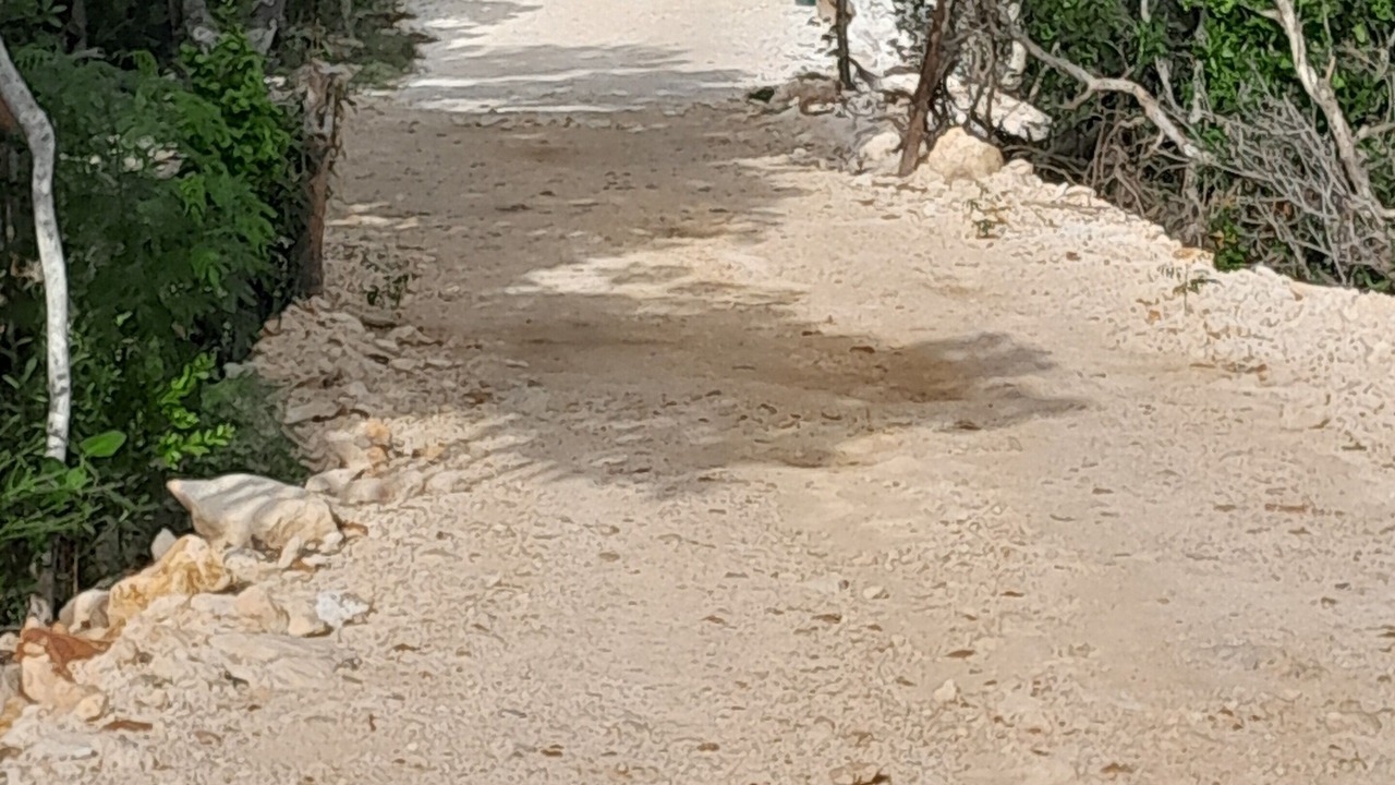 Photo of Outdoor in Long Bay Hills
