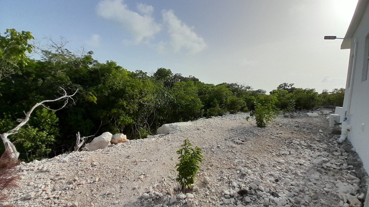 Photo of Outdoor in Long Bay Hills