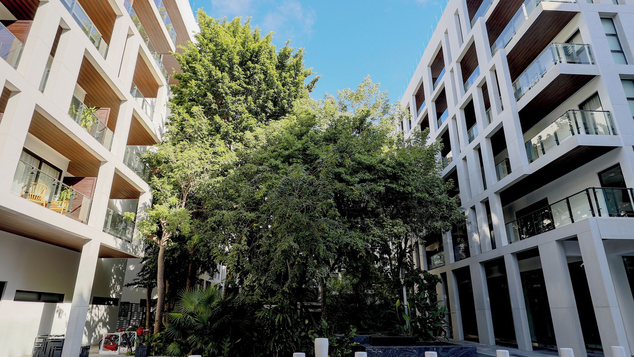 Photo of Outdoor in Luis Donaldo Colosio