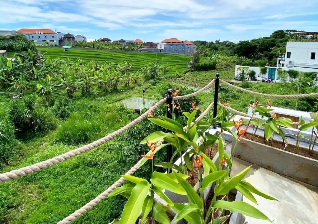 Photo of Outdoor in Padonan