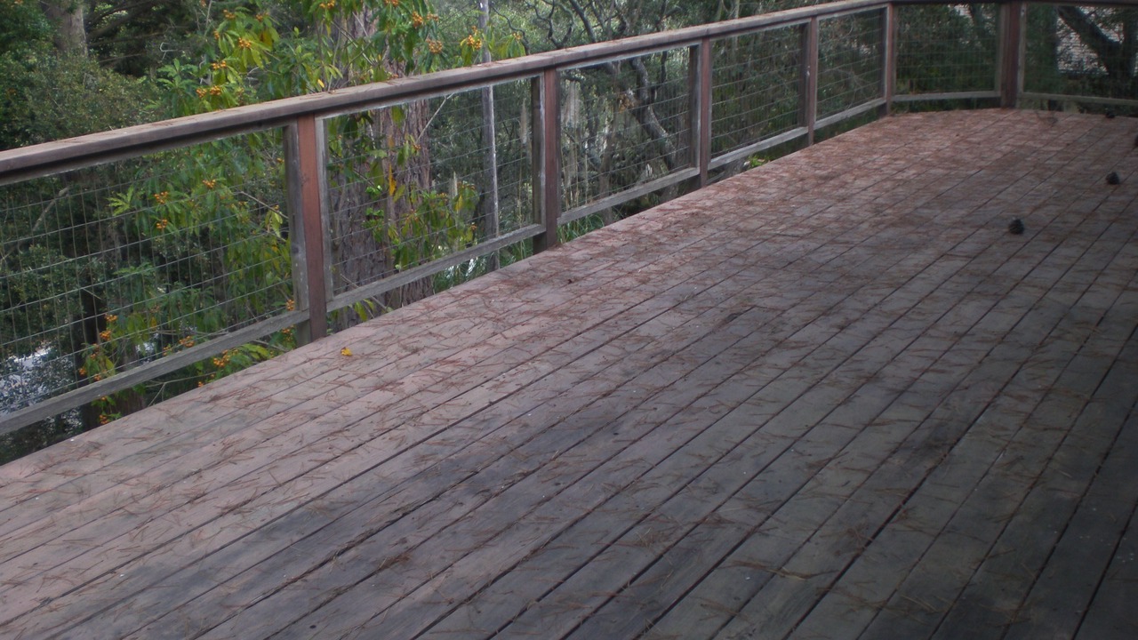 Photo of Outdoor in Aptos Hills-Larkin Valley
