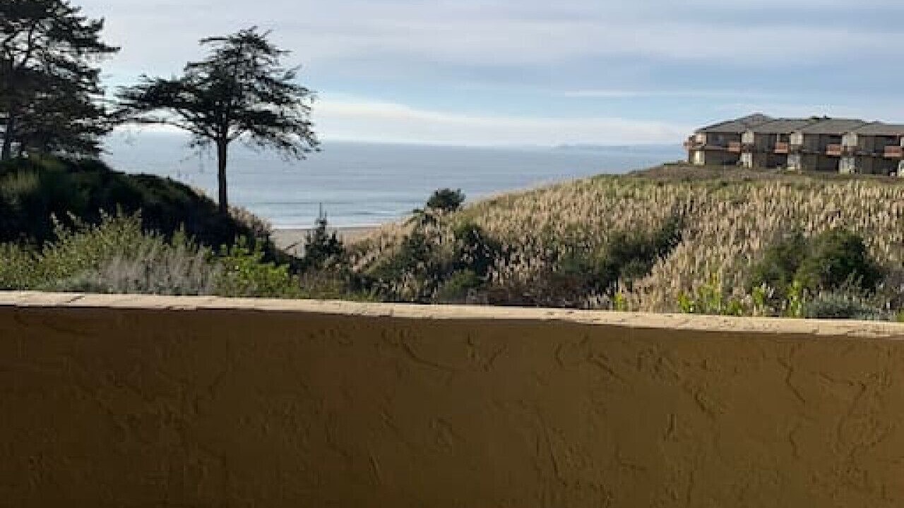 Photo of Outdoor in Rio del Mar