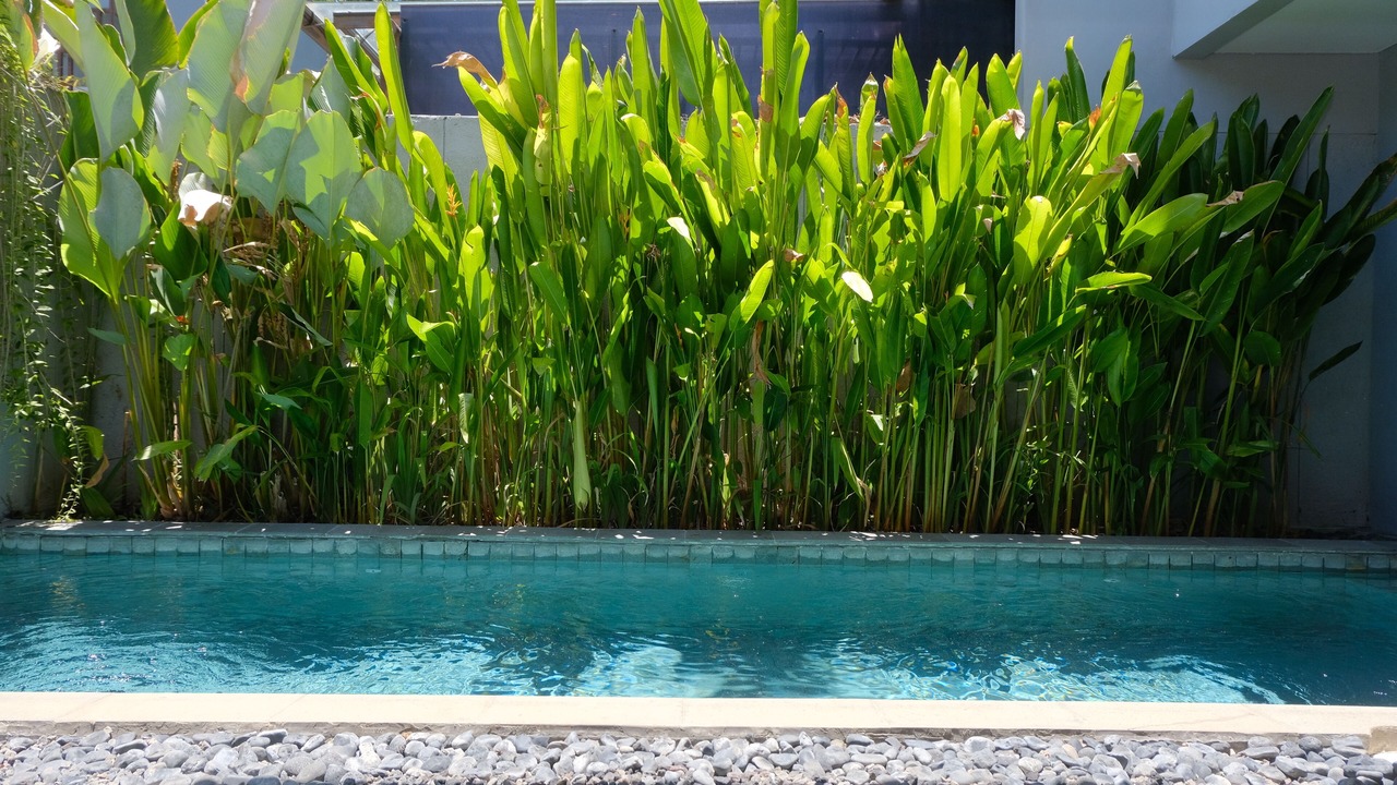 Photo of Outdoor in Mumbul