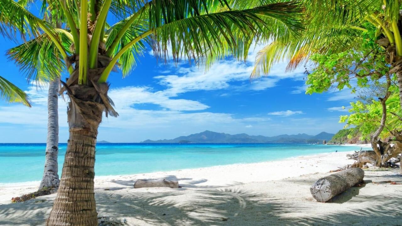 Photo of Others in Anse Royale