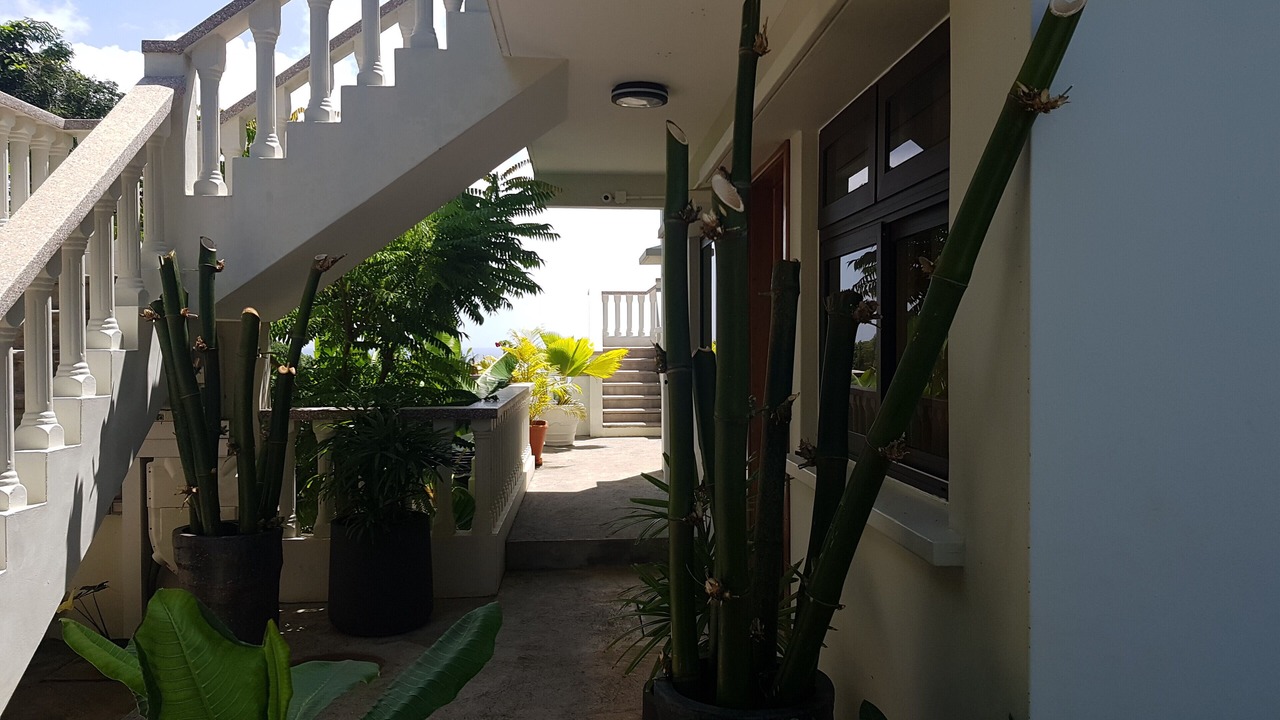 Photo of Outdoor in Anse Royale