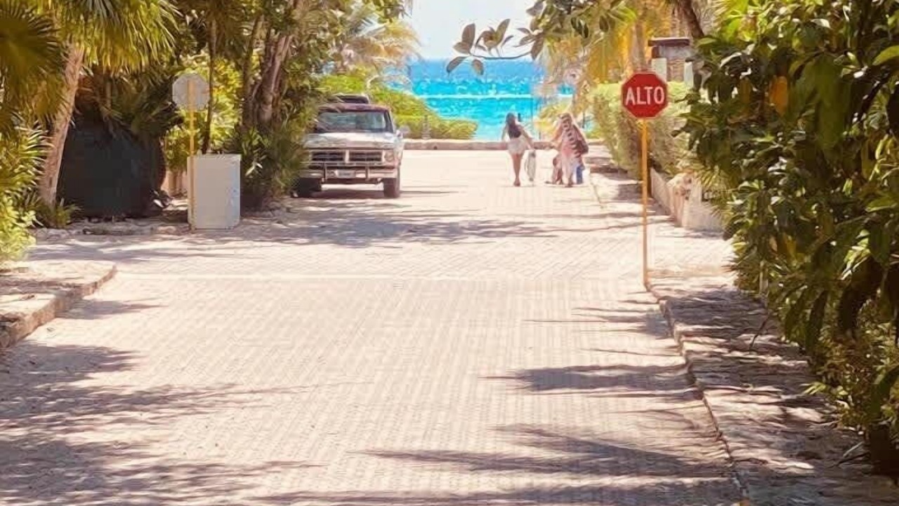 Photo of Others in Playacar Fase I