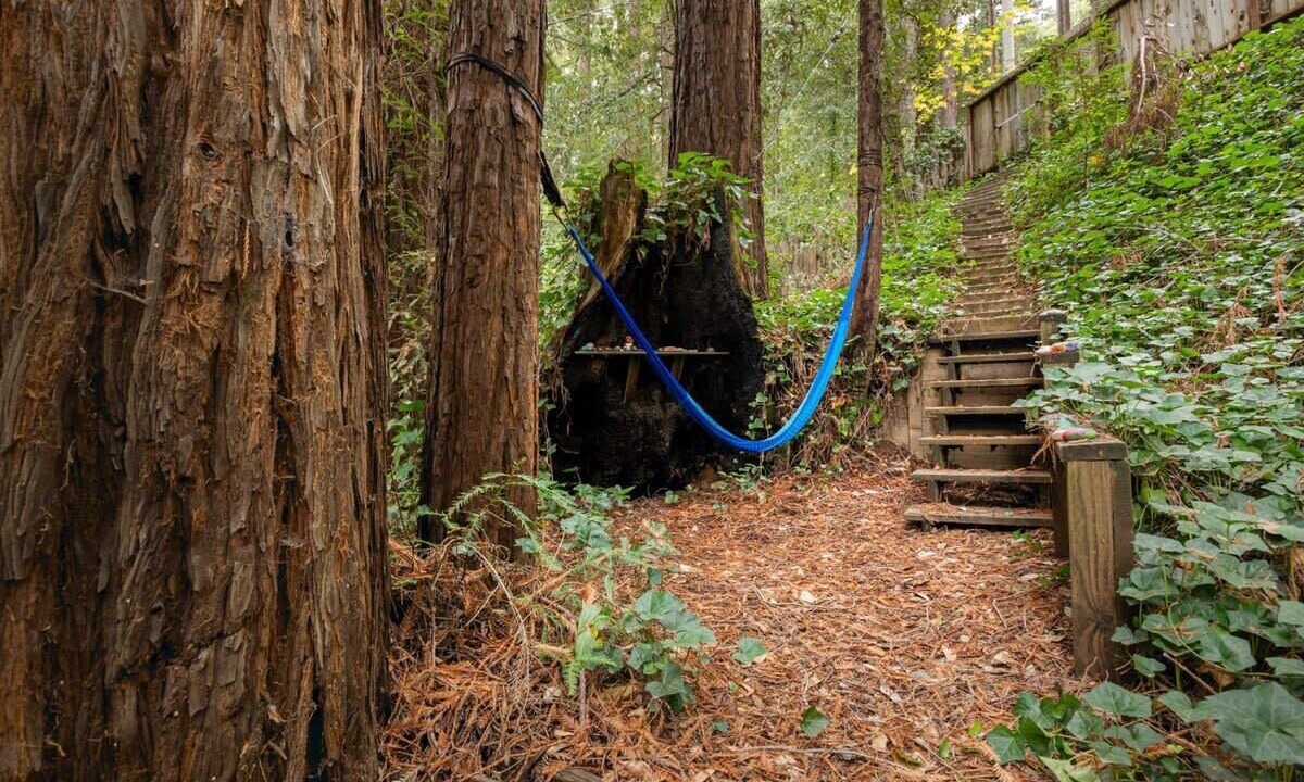 Photo of Outdoor in Brookdale