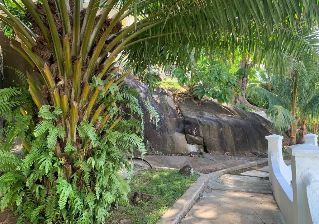 Photo of Outdoor in Zig Zag Ward