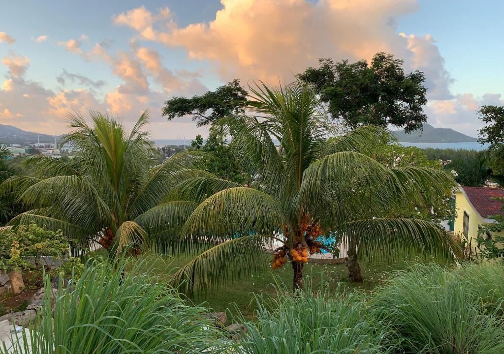 Photo of Outdoor in Zig Zag Ward