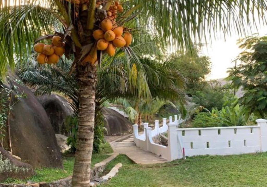 Photo of Outdoor in Zig Zag Ward