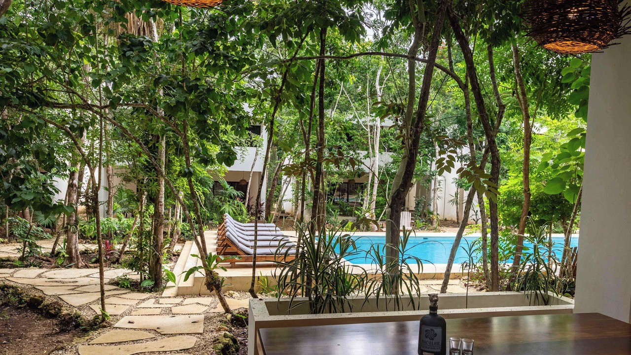 Photo of Outdoor in Bacalar
