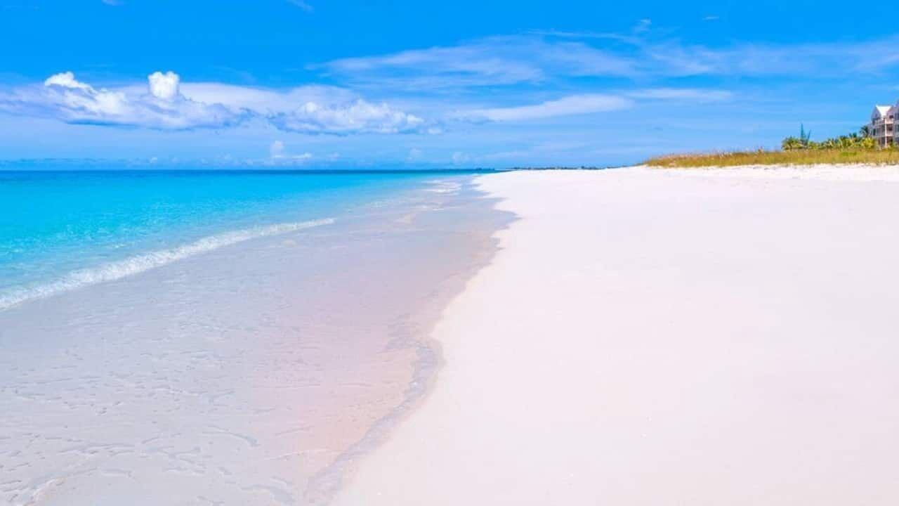 Photo of Others in Long Bay