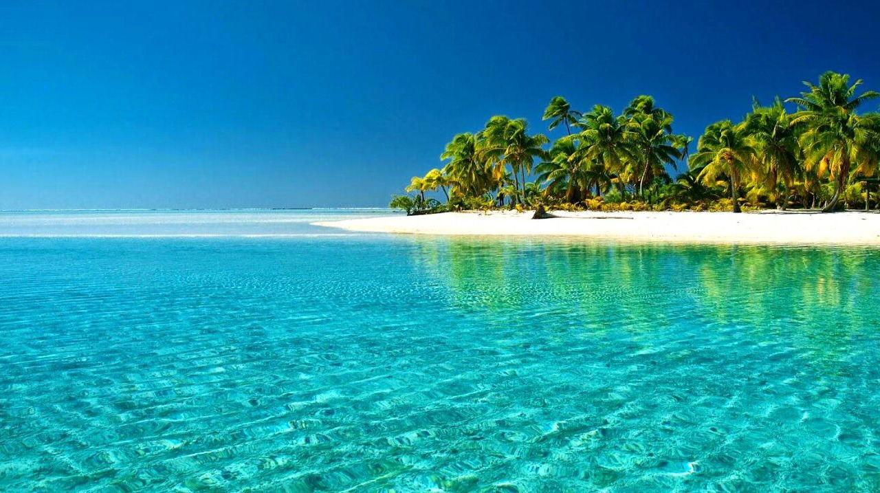 Photo of Others in Long Bay