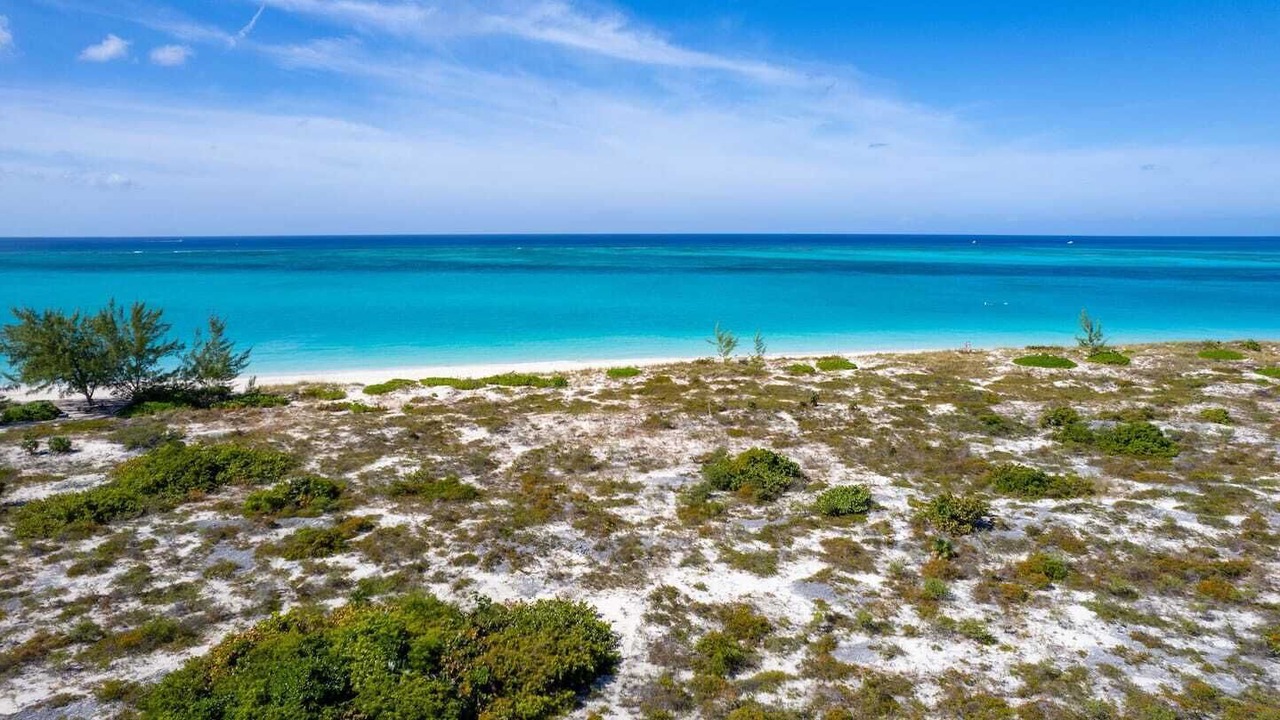 Photo of Others in Grace Bay