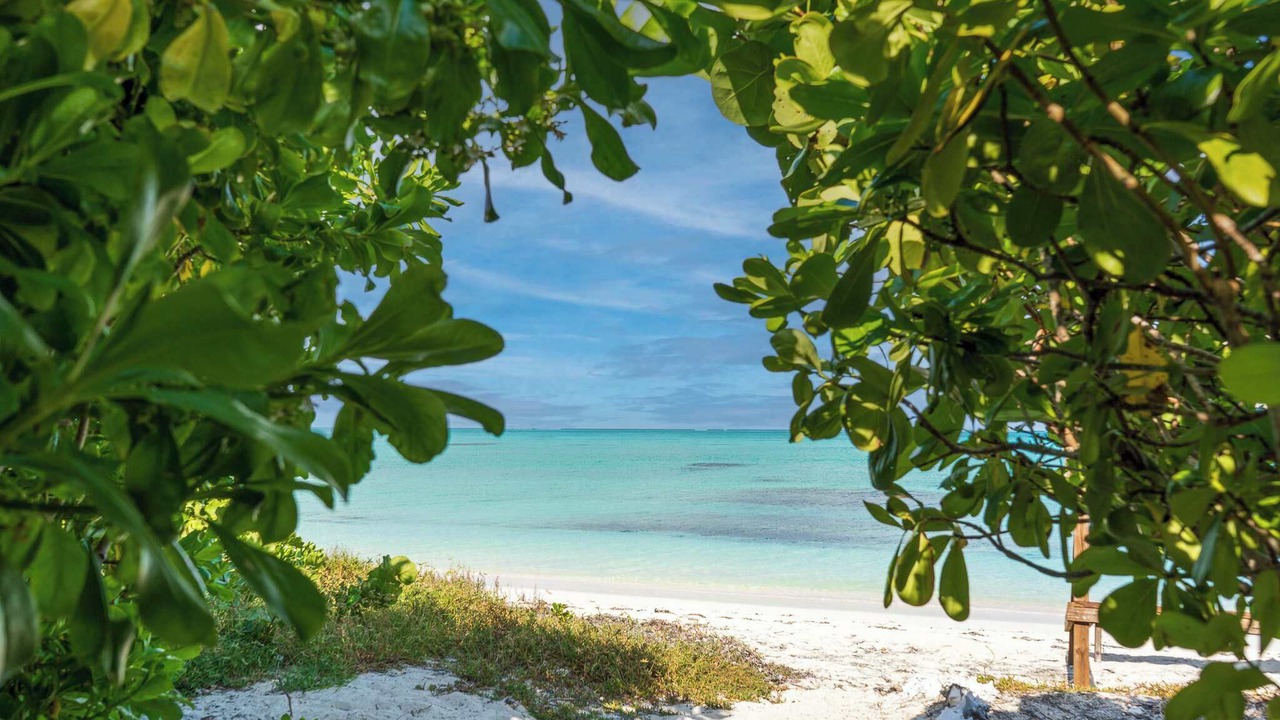 Photo of Others in Middle Caicos