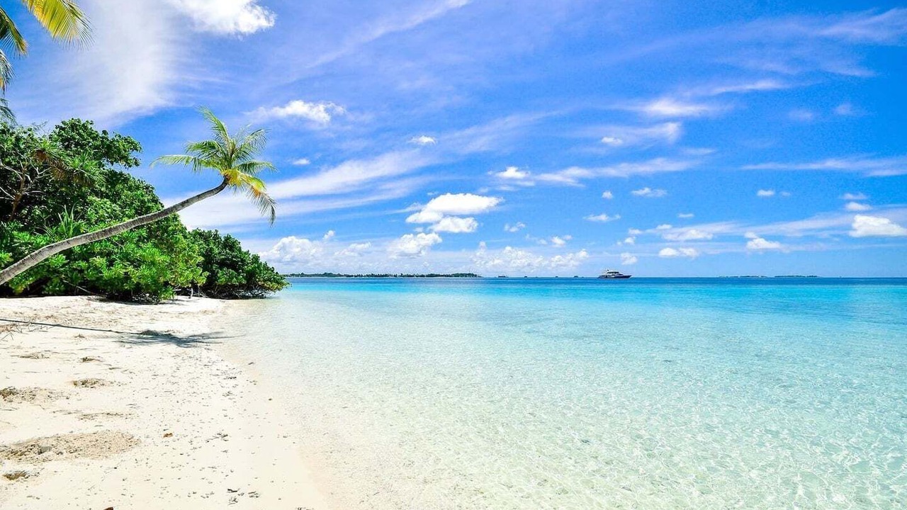 Photo of Others in Grace Bay