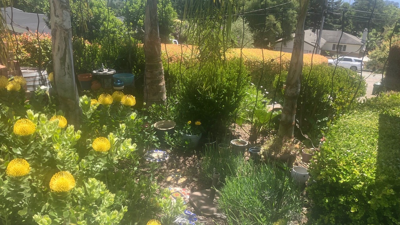 Photo of Outdoor in Aptos