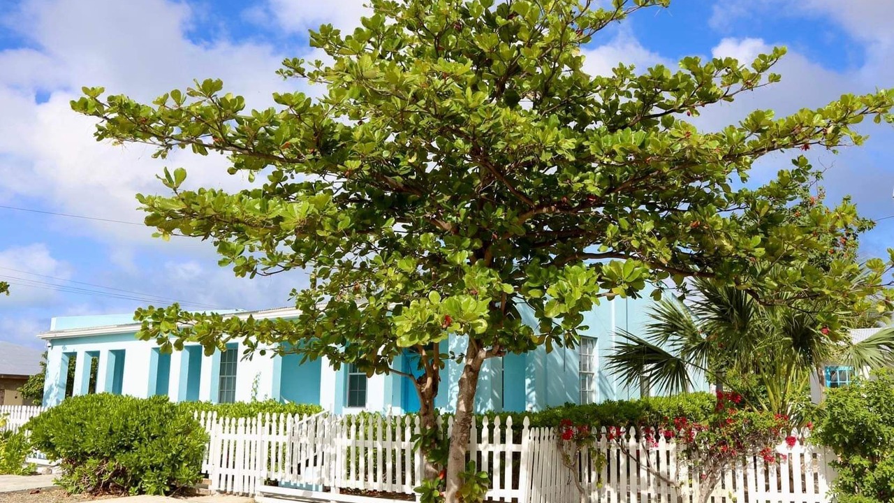 Photo of Outdoor in Cockburn Town