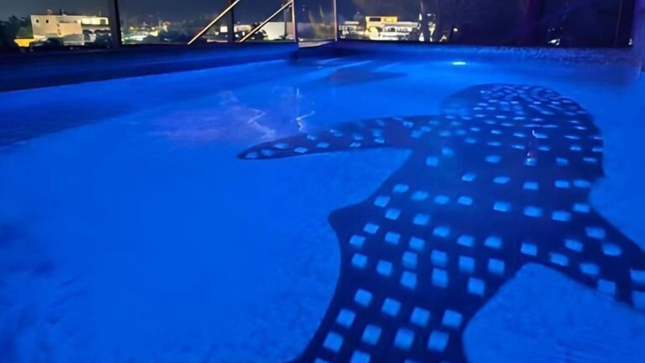 Photo of Outdoor in Isla Holbox