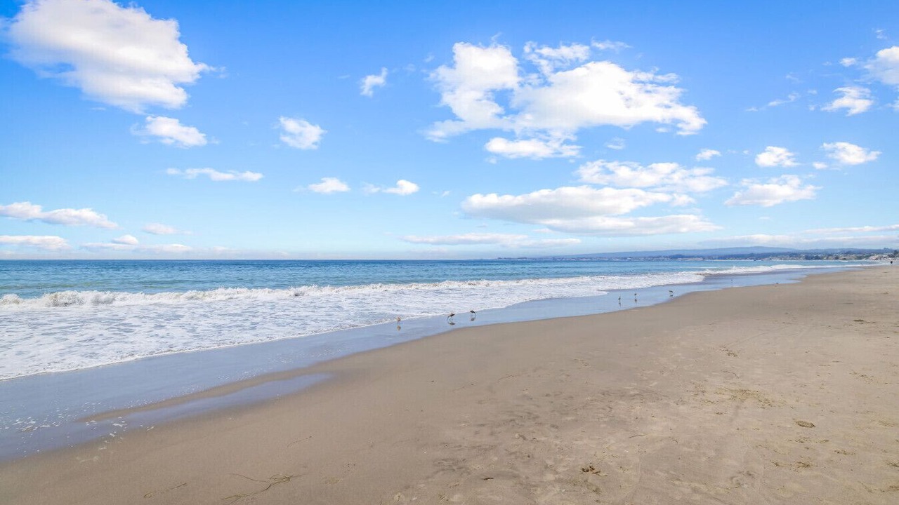 Photo of Others in Rio del Mar