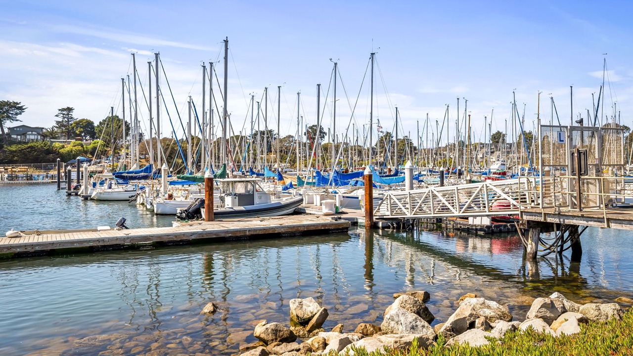 Photo of Others in Eastside Santa Cruz