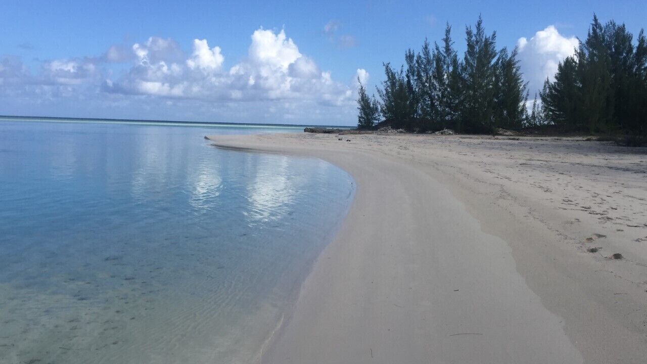 Photo of Others in Sandy Point