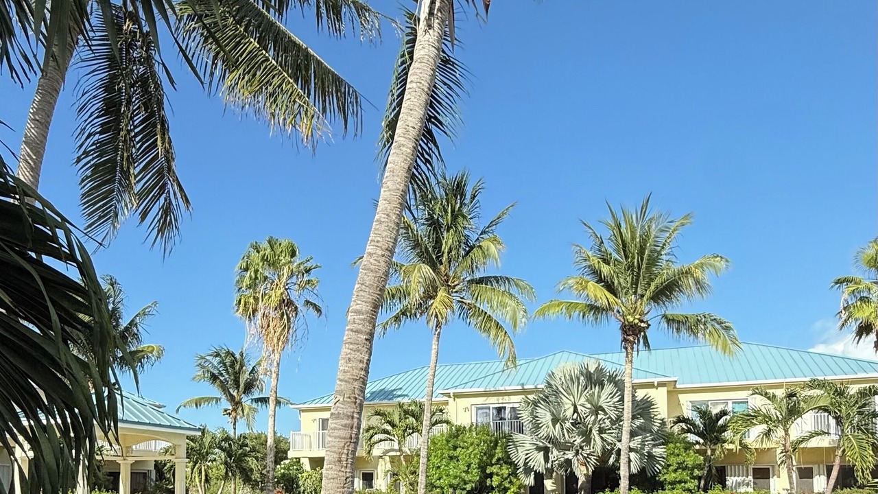 Photo of Outdoor in Grace Bay Hills