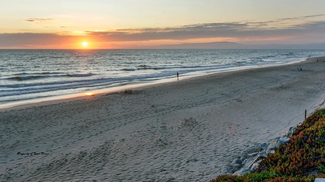 Photo of Others in Pajaro Dunes