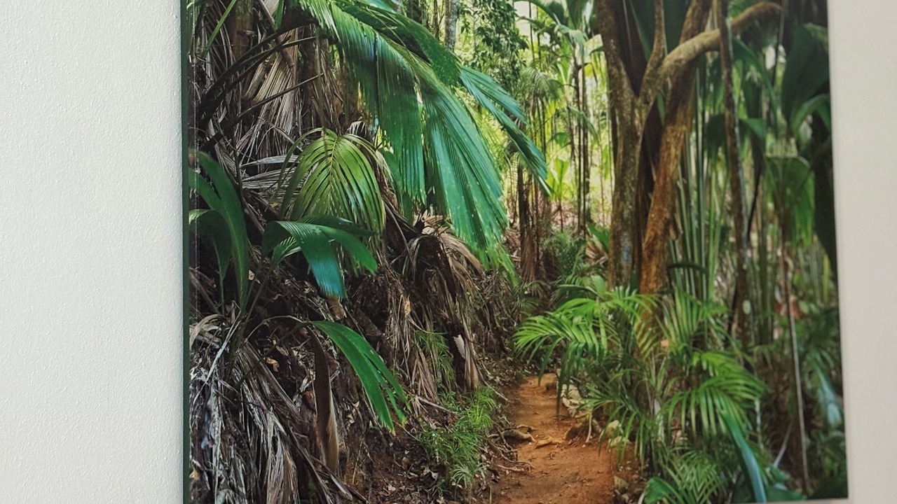 Photo of Others in Mahe Island