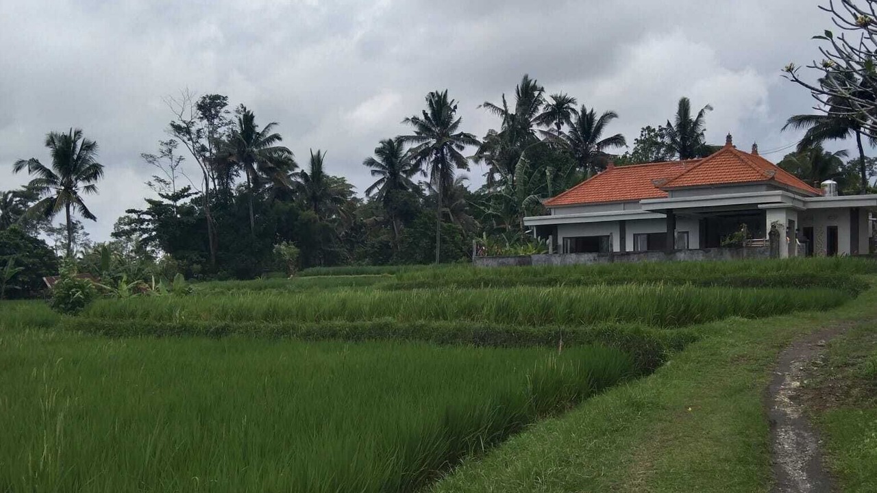 Photo of Outdoor in Pejeng
