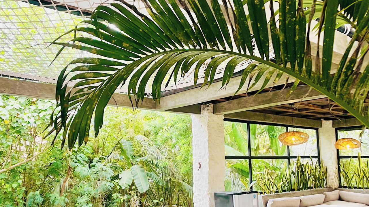 Photo of Outdoor in Kutuh