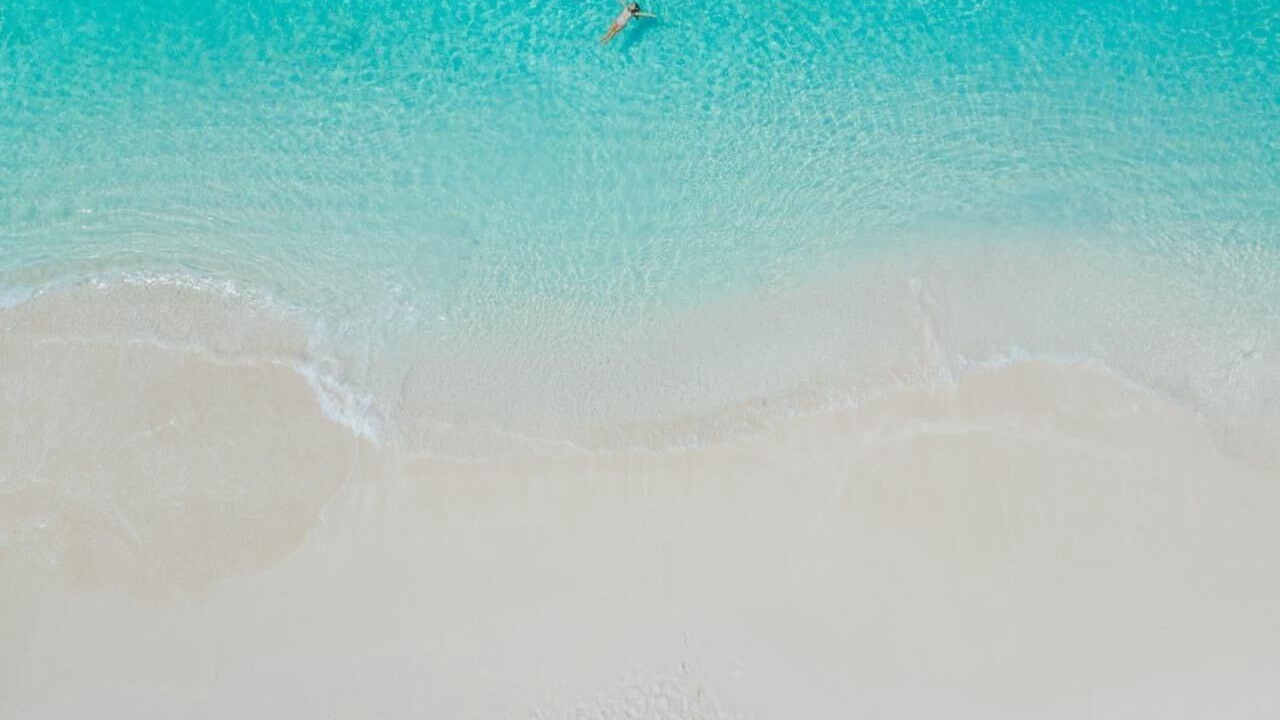 Photo of Others in The Bight