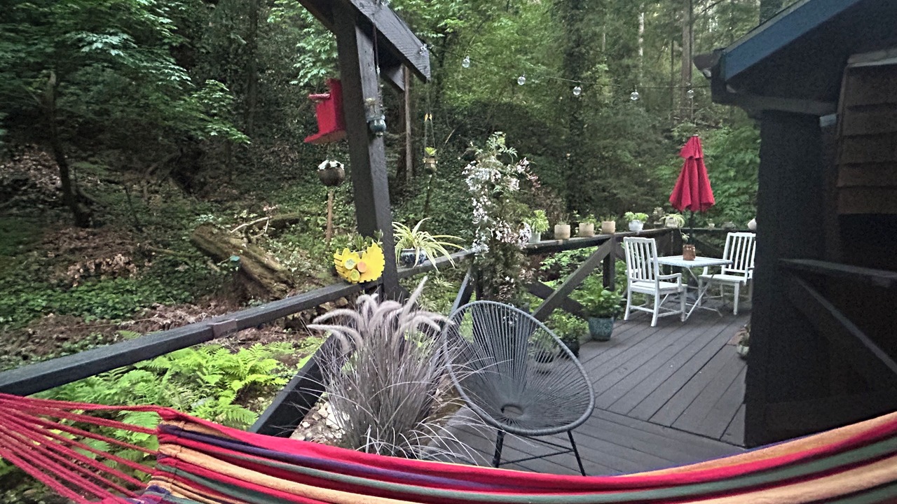 Photo of Outdoor in Ben Lomond