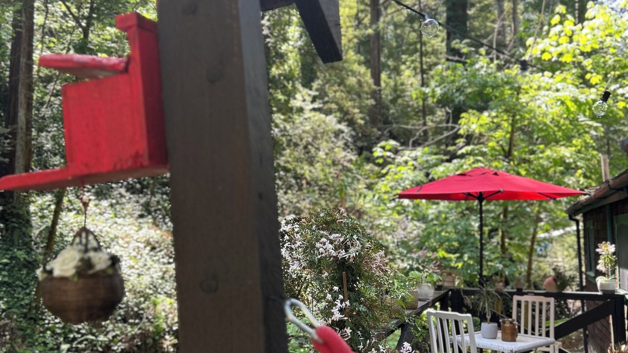 Photo of Outdoor in Ben Lomond