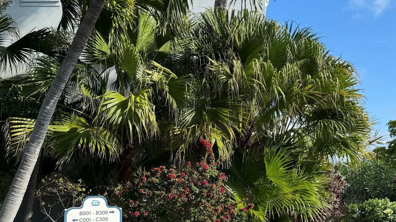 Photo of Outdoor in Middle Caicos